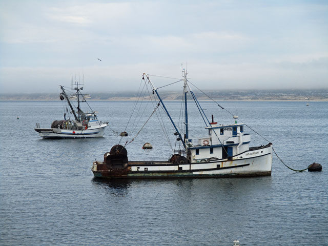 07-01-fishing-boats.jpg