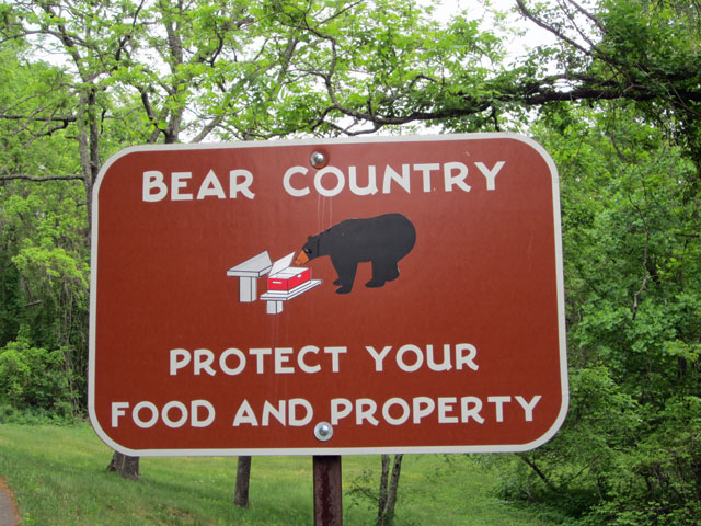 05-17-bear-sign.jpg