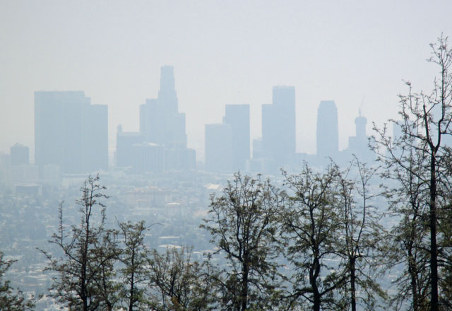 07-06-la-skyline.jpg