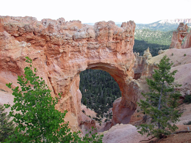 06-15-natural-bridge.jpg