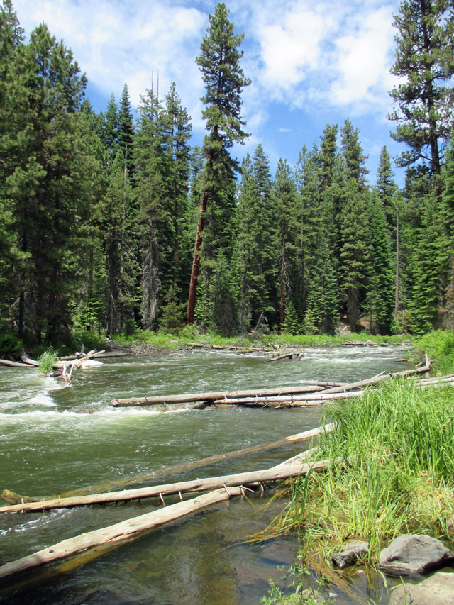 06-24-deschutes-river.jpg